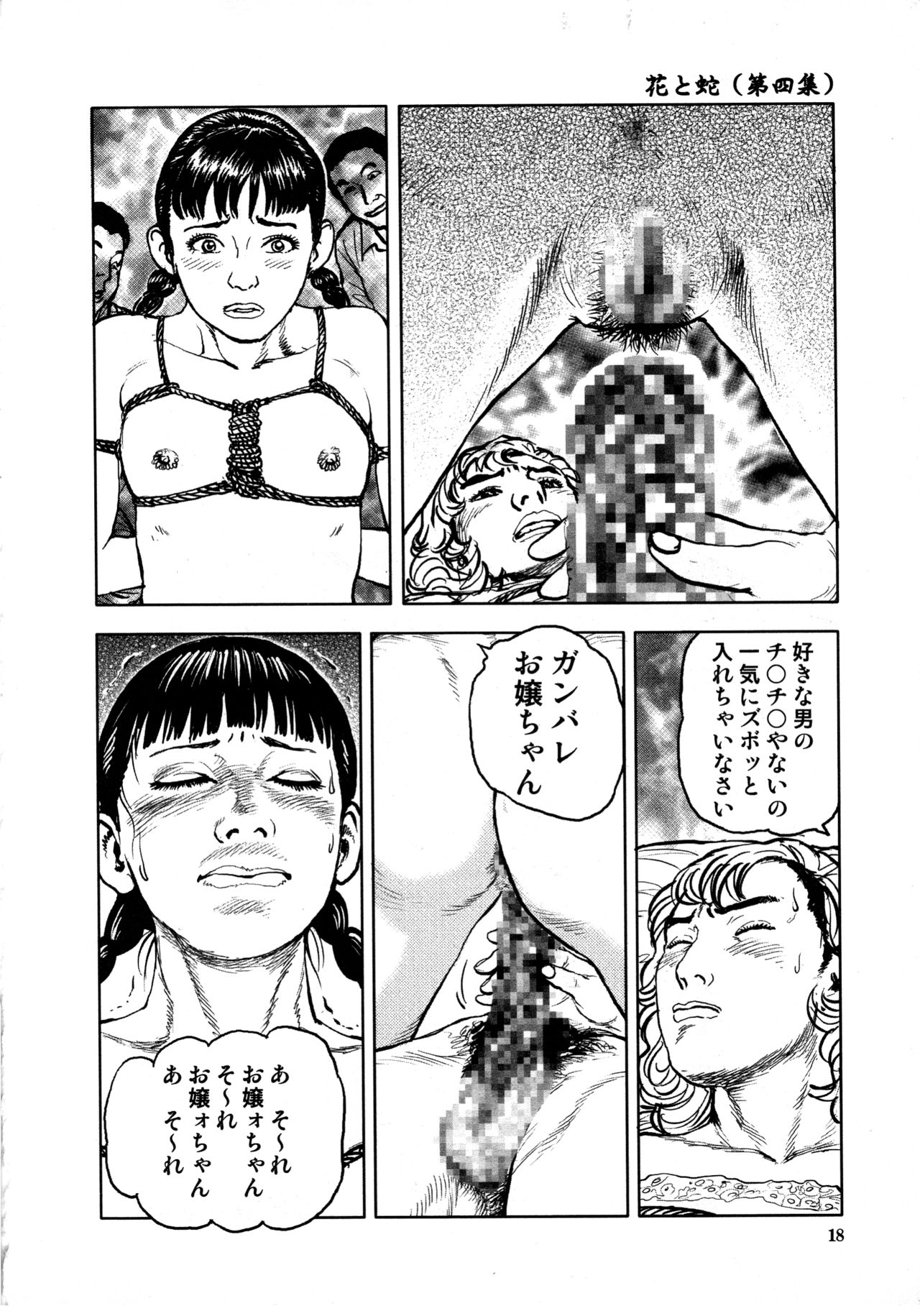 [長田要, 団鬼六] 花と蛇 第四集