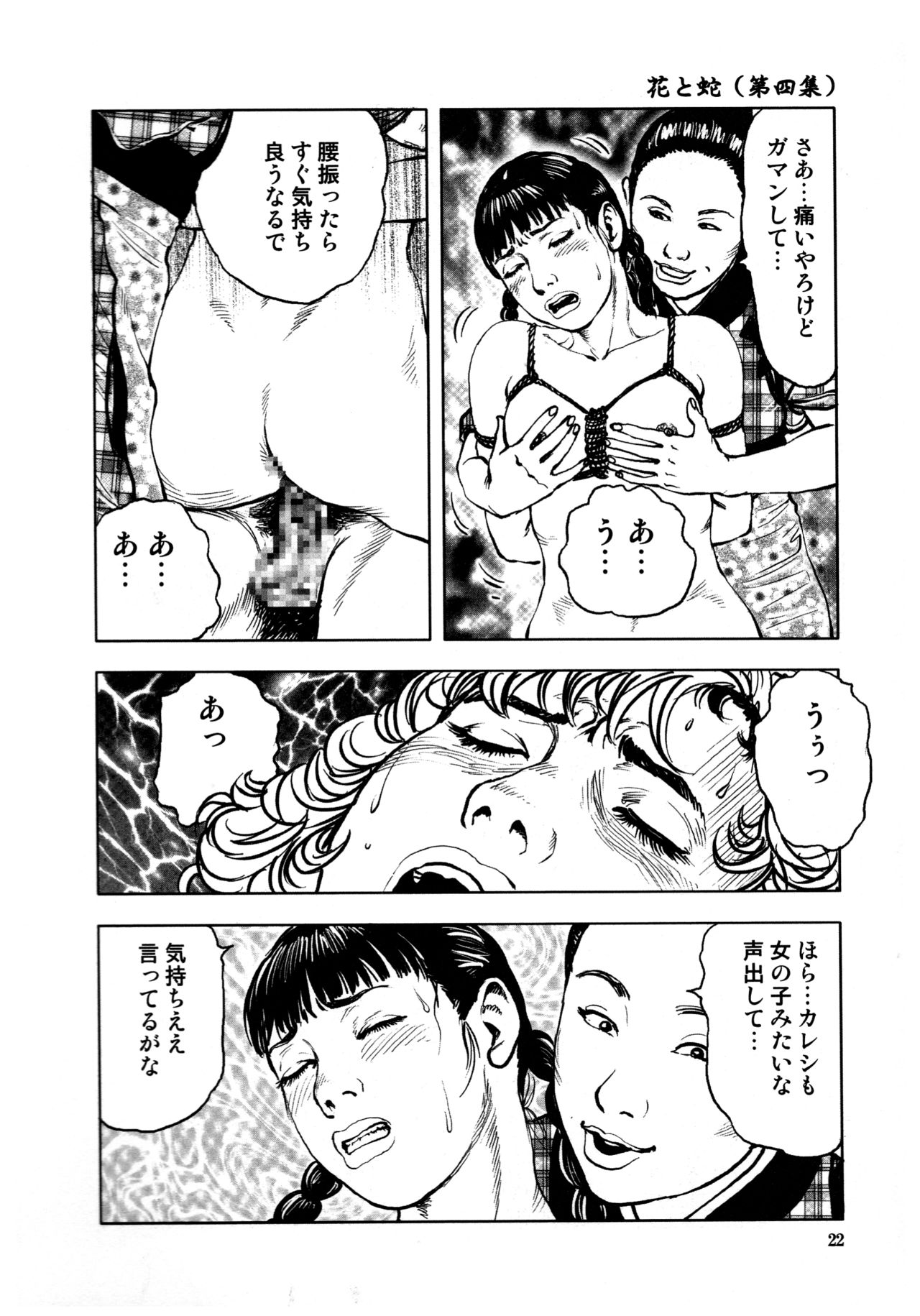 [長田要, 団鬼六] 花と蛇 第四集