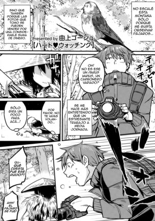 ハートウォッチング