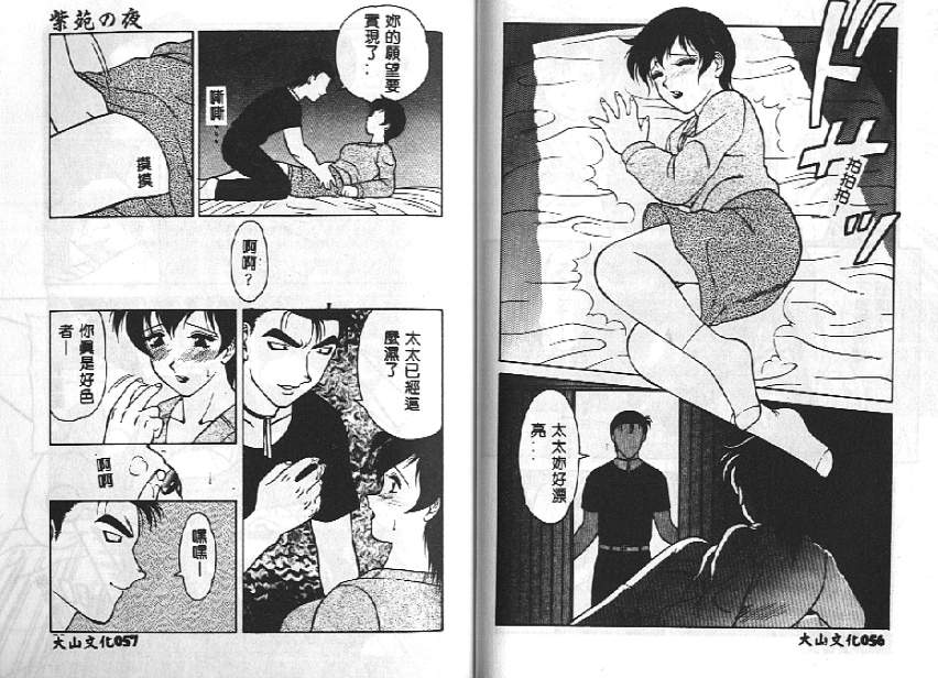 [拝狼] 紫苑の夜 愛蔵版 [中国翻訳]