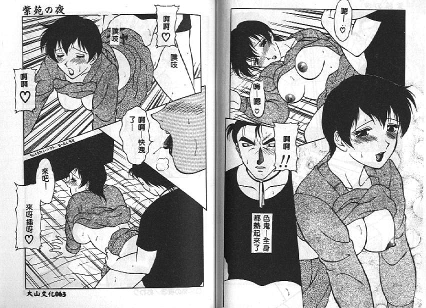 [拝狼] 紫苑の夜 愛蔵版 [中国翻訳]