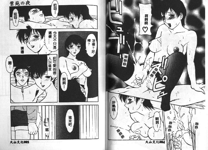 [拝狼] 紫苑の夜 愛蔵版 [中国翻訳]