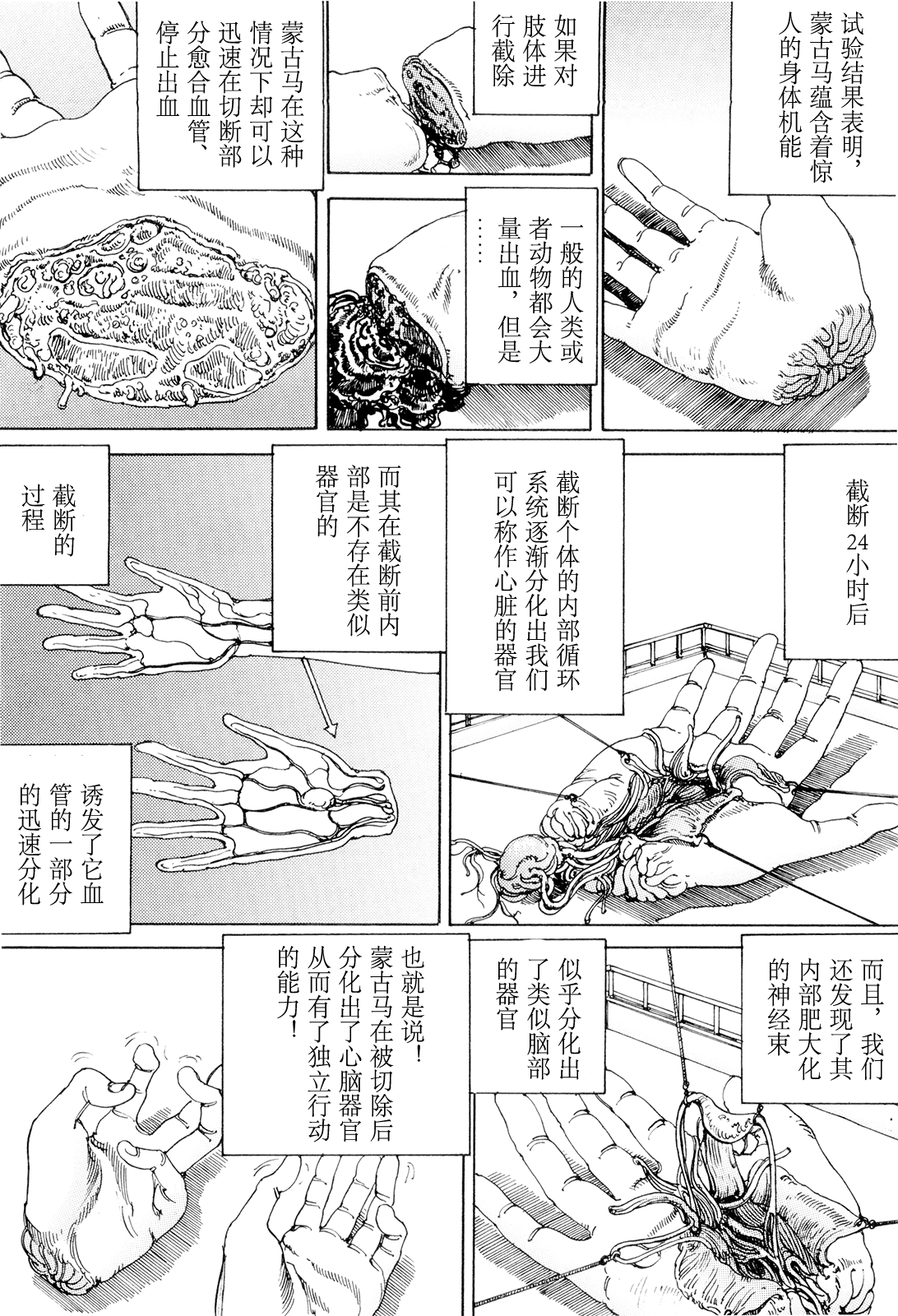 [駕籠真太郎] 超動力蒙古大襲来 [中国翻訳]