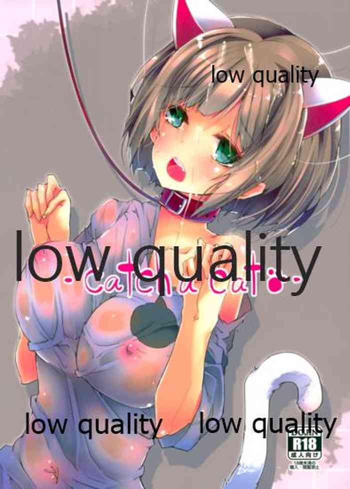 (C89) [662KB (拾次)] catch a cat (アイドルマスター シンデレラガールズ)