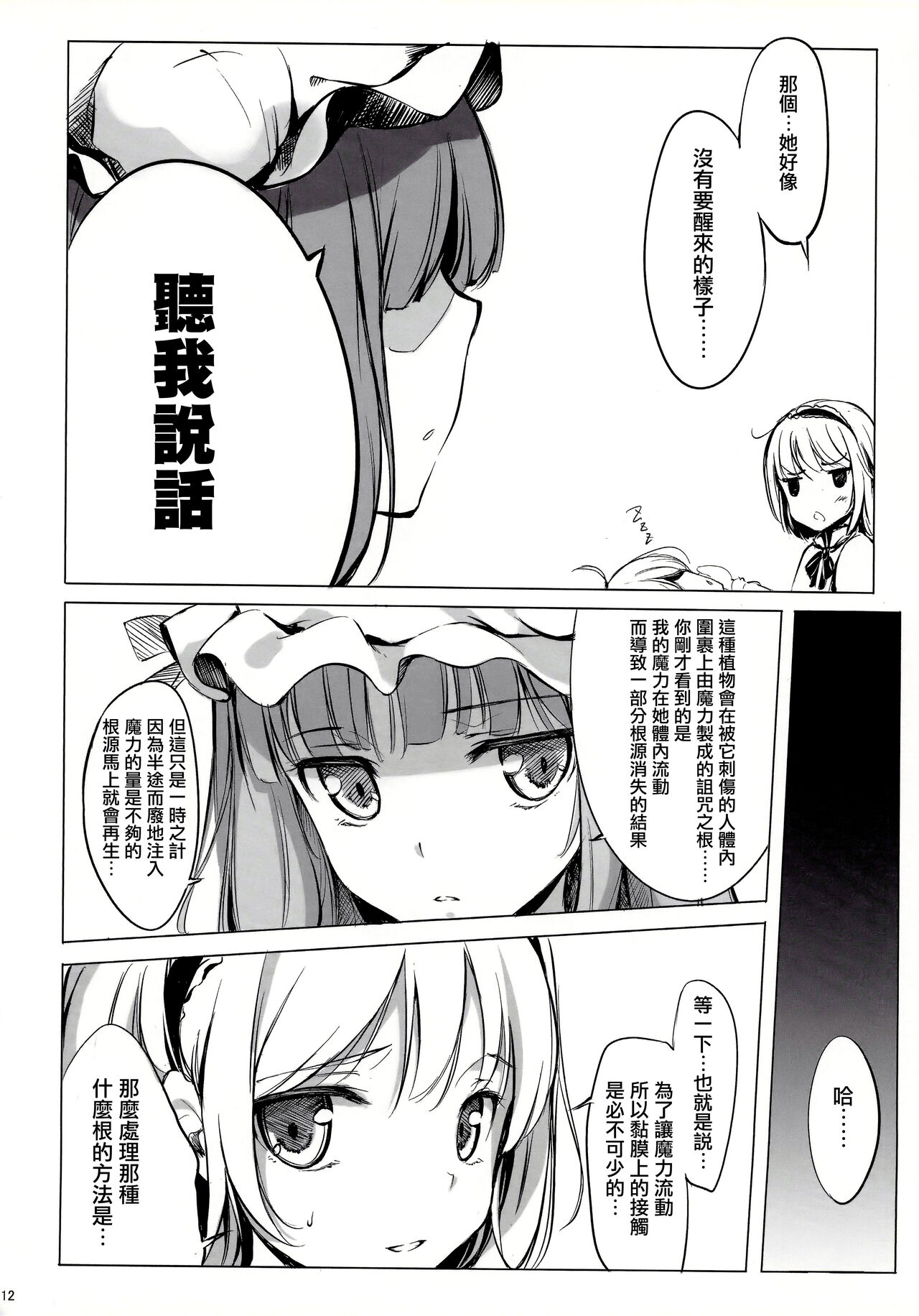 (C81) [劇毒少女 (ke-ta、日向、冬馬雪崩)] SLEEPING MAGE ‐魔法の森の眠り姫‐ 劇毒少女 Publication Number VII (東方Project)[中国翻訳]