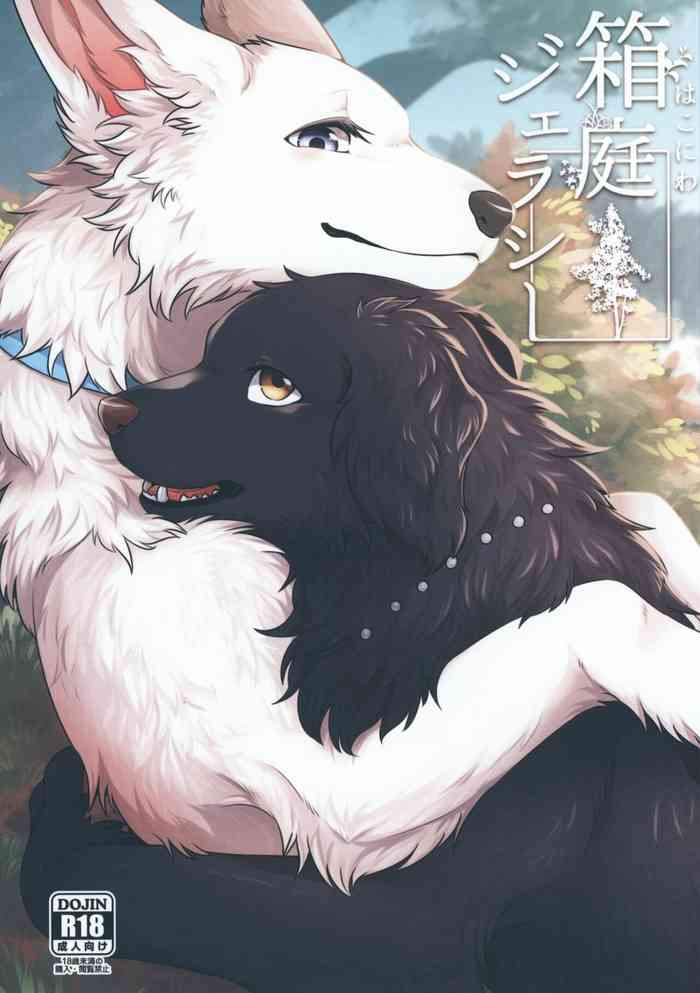 (けもケット11) [回転ParaDOGs (水賀つくね)] 箱庭ジェラシー [中国翻訳]
